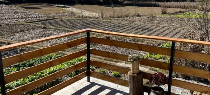 青鸟咖啡民宿(先锋书店分店)图片