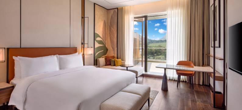 纳西克丽笙酒店及水疗中心(Radisson Blu Hotel & Spa, Nashik)图片