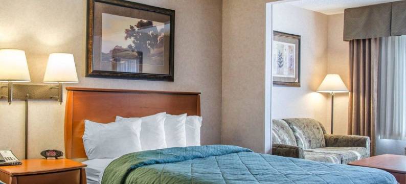 凯艺套房酒店(Quality Inn & Suites)图片