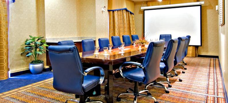 里弗波特列治文智选假日套房酒店(Holiday Inn Express & Suites Riverport Richmond by IHG)图片