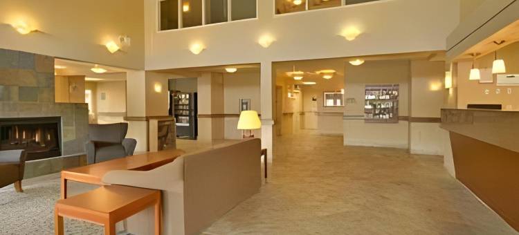 兰利舒适酒店(Comfort Inn & Suites)图片