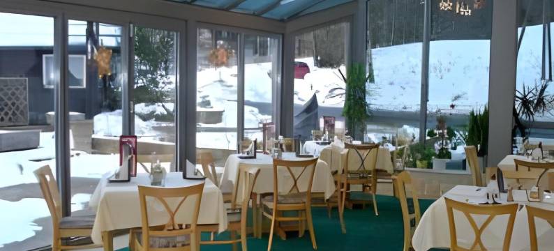 拉登明勒酒店(Hotel Ladenmühle)图片