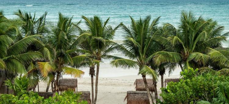 Xela Tulum - Design Hotels成员(Xela Tulum - Member of Design Hotels)图片