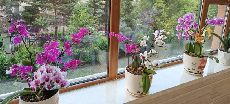 大学阳光网红墙季节空间民宿(公园路分店)图片