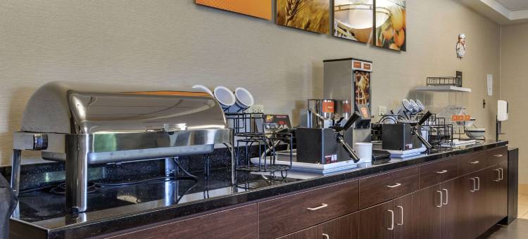 雅典舒适酒店(Comfort Inn Athens I - 75)图片