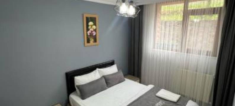 迪莱克公寓酒店(Uzungöl Dilek Pansiyon)图片