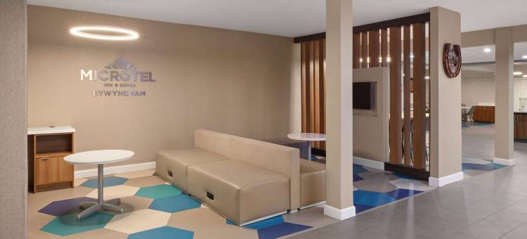 布达-奥斯汀南麦客达温德姆套房酒店(Microtel Inn & Suites by Wyndham Buda Austin South)图片