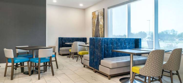 舒适酒店及套房阿德里安(Comfort Inn & Suites Adrian)图片