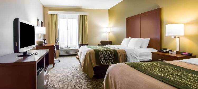 舒适套房酒店(Comfort Inn & Suites)图片