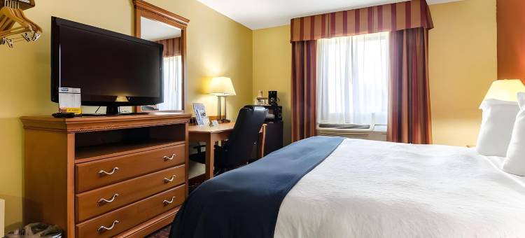 杰克森维尔勒琼营地附近罗德威套房酒店(Rodeway Inn & Suites Jacksonville Near Camp Lejeune)图片