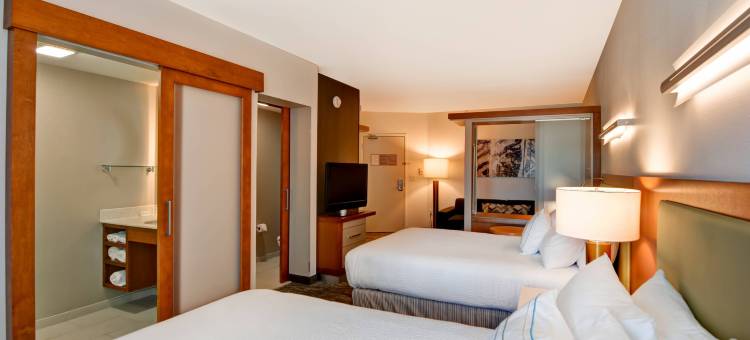 辛辛那提市中心区SpringHill Suites 酒店(SpringHill Suites Cincinnati Midtown)图片
