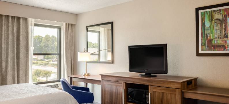 伯明翰特鲁斯维尔欢朋酒店(Hampton Inn Birmingham/Trussville)图片