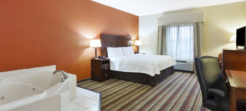 底特律绍斯盖特欢朋酒店(Hampton Inn Detroit/Southgate)图片