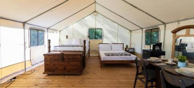 Unwind in a Cozy Glamping Sanctuary图片