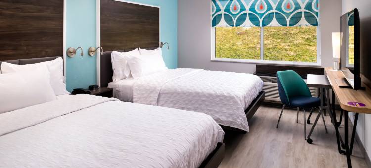 希尔顿旗下Tru-斯丹顿(Tru by Hilton Staunton)图片