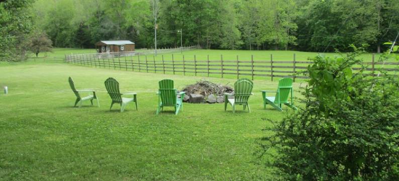 Historic Cabin-Close to I-77, Antiques/Wi fi, Great Bath, a Visit 'Back in Time'图片