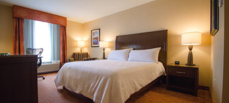 希尔顿花园旅馆-沃特敦千岛(Hilton Garden Inn Watertown/Thousand Islands)图片