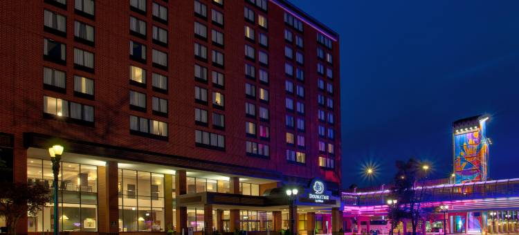 兰辛希尔顿逸林酒店(DoubleTree by Hilton Lansing)图片