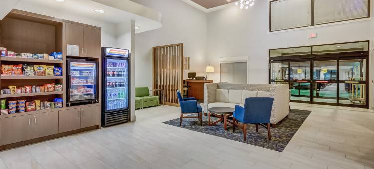 智选假日套房酒店格林维尔机场(Holiday Inn Express & Suites Greenville Airport)图片