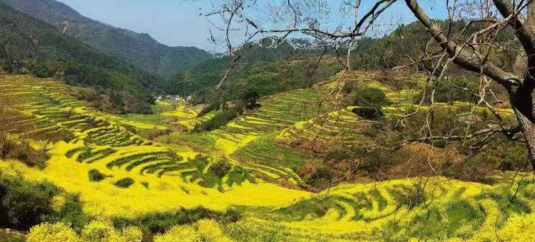 岭居·青石小巷民宿(篁岭风景区店)图片