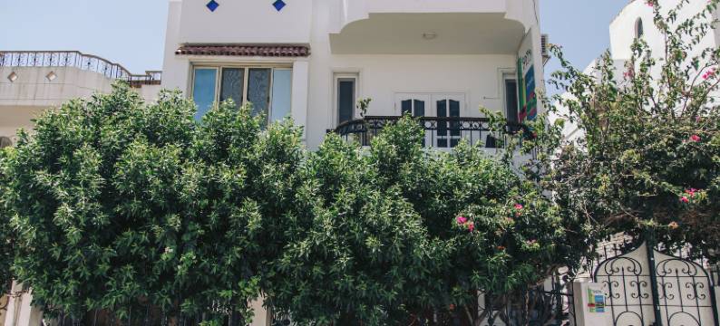 Rafiki 青年旅舍 - 达哈布(Rafiki Hostels - Dahab)图片