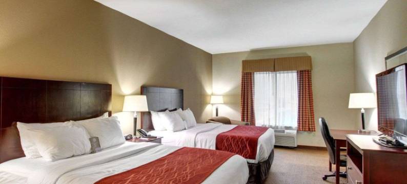 舒适套房酒店(Comfort Inn & Suites)图片