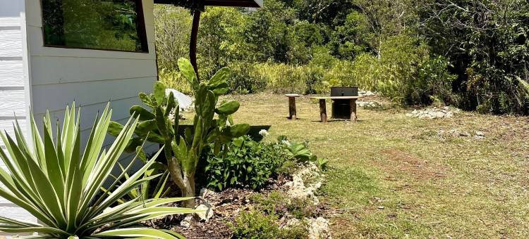 O naturel Lodge 利福酒店(Ô Naturel Lodge Lifou)图片