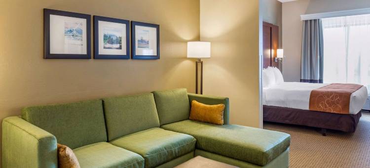 阿米什乡村舒适套房酒店(Comfort Suites Lancaster Amish Country)图片