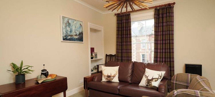 唐赖特加布勒(Downright Gabbler)图片