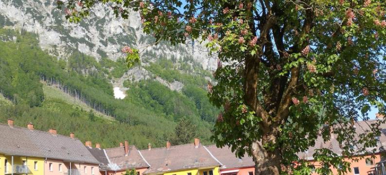 舒适的公寓带阳台(Snug Apartment with Balcony)图片