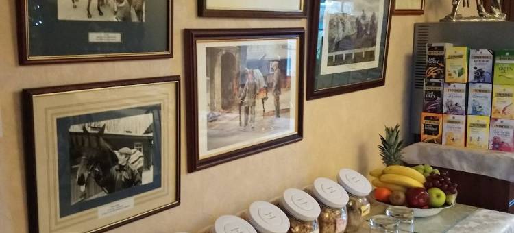 斯塔福德之屋旅馆(Stafford House Guest House)图片