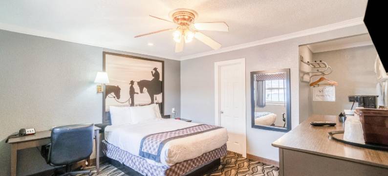 OYO Snyder TX 紫色鼠尾草(Purple Sage by OYO Snyder TX)图片