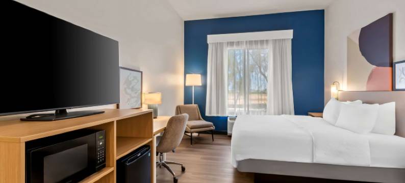 菲尼克斯东梅萨希尔顿Spark酒店(Spark by Hilton Phoenix East Mesa)图片