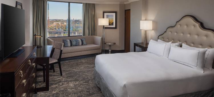 阿林顿希尔顿酒店(Hilton Arlington)图片