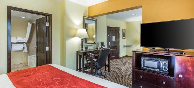 克林顿舒适套房酒店 - 近长老会学院(Comfort Suites Clinton Near Presbyterian College)图片