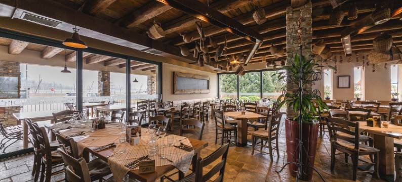 Guesthouse Grof客栈(Guesthouse Grof)图片