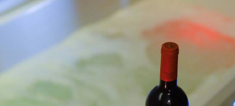 新世界套房酒店(New World Suites)图片