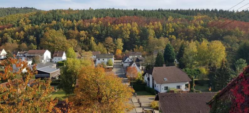 克洛斯特霍夫农舍旅馆(Landgasthaus Klosterhof)图片