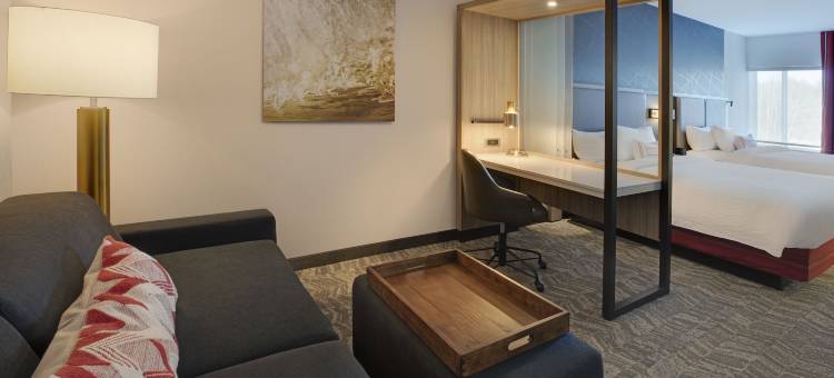 朴茨茅斯汉普顿万豪SpringHill Suites酒店(SpringHill Suites Hampton Portsmouth)图片