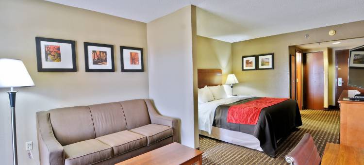 舒适套房酒店-拉芬列克星敦I-81和I-64附近(Comfort Inn & Suites Raphine - Lexington Near I-81 and I-64)图片