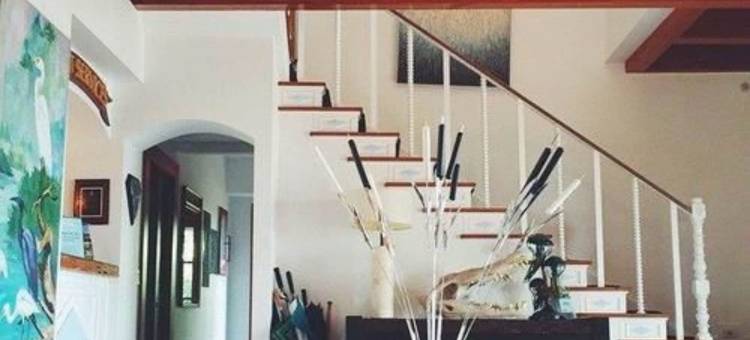 黑海豚旅馆(Black Dolphin Inn)图片