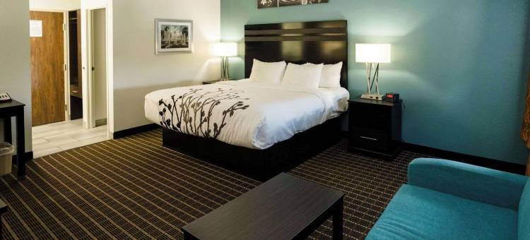 诺克斯维尔西舒眠套房酒店(Sleep Inn & Suites West Knoxville)图片