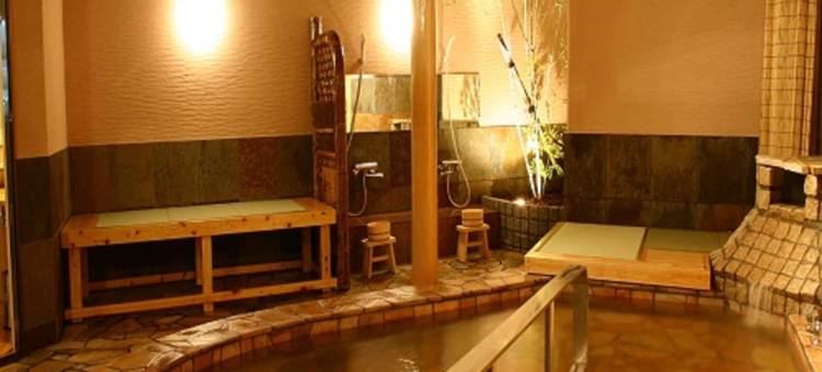 鹤崎酒店(TENNEN ONSEN Tsurusaki Hotel)图片