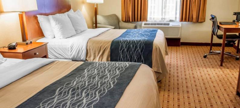 富兰克林东部舒适套房酒店(Comfort Inn & Suites Franklin East)图片