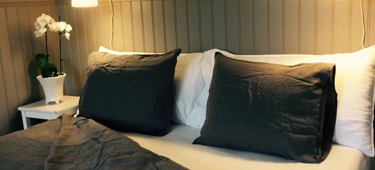 维拉米斯登民宿(Villamilsten B&B)图片