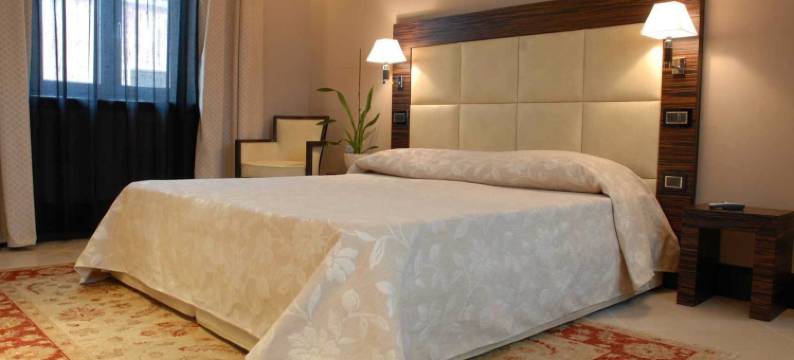 精益求精酒店(Hotel Excelsior)图片