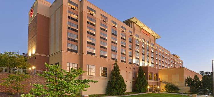 巴尔的摩华盛顿机场喜来登酒店-I(Sheraton Baltimore Washington Airport Hotel - BWI)图片