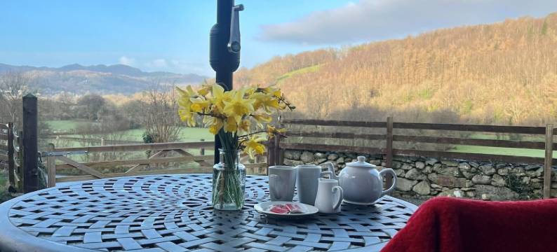 多尔郡乌查夫旅馆(Dolgun Uchaf Historic B&B and Cottages in Snowdonia)图片