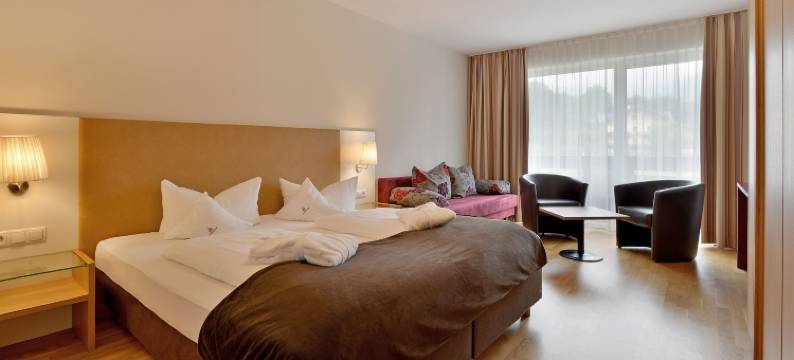 迈乐尔豪斯酒店(Hotel Malerhaus)图片