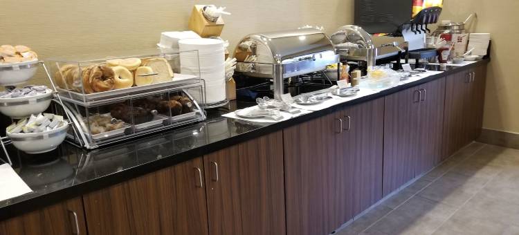 北达拉斯艾迪逊舒适套房酒店(Comfort Inn & Suites North Dallas-Addison)图片